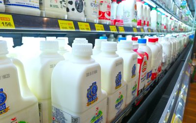 Omega-6:Omega-3 比例的健康密碼